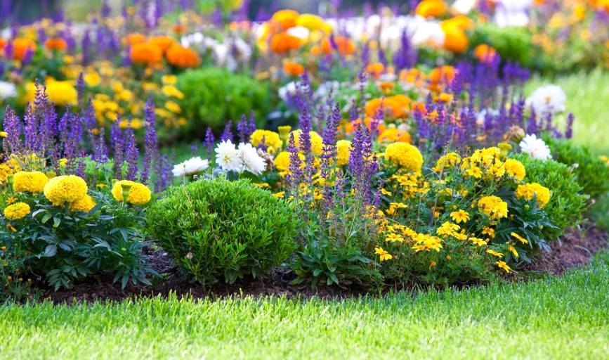 Flower Bed Installation